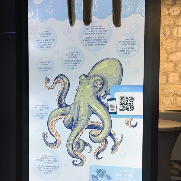 kotor SATECON konferencija (26)